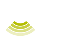 CampusSonarLogo-BrainWavesEmail.png